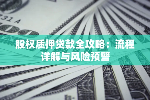 武汉股权质押贷款全攻略：流程详解与风险预警