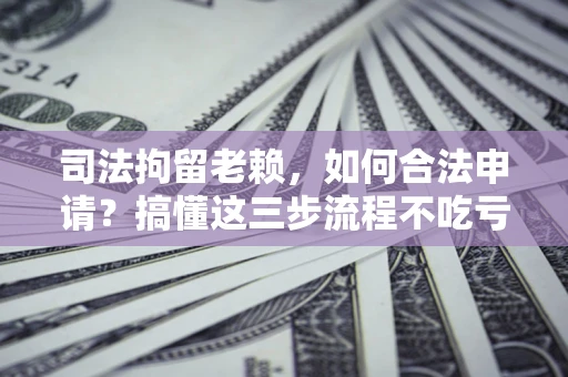武汉司法拘留老赖，如何合法申请？搞懂这三步流程不吃亏！