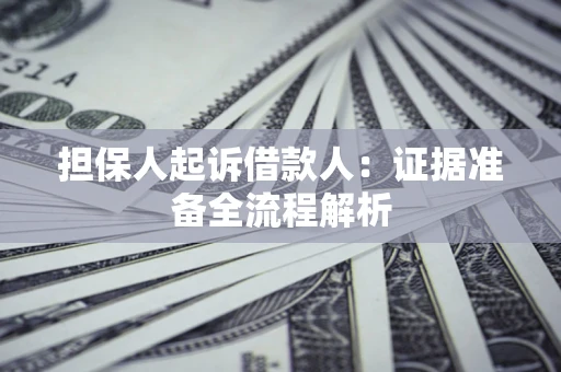 武汉担保人起诉借款人：证据准备全流程解析