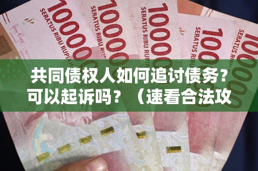 武汉共同债权人如何追讨债务？可以起诉吗？（速看合法攻略）
